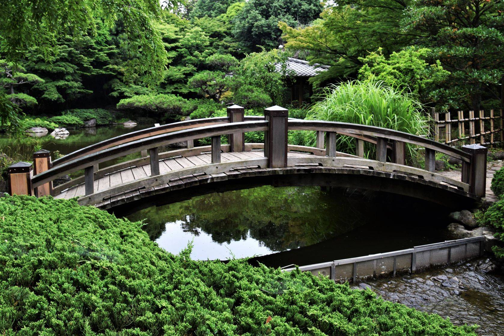 Japanesegarden Japanese