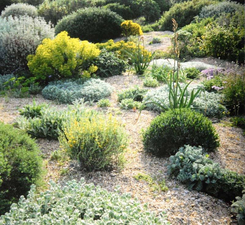 Super Easy Dry Creek Landscaping Ideas