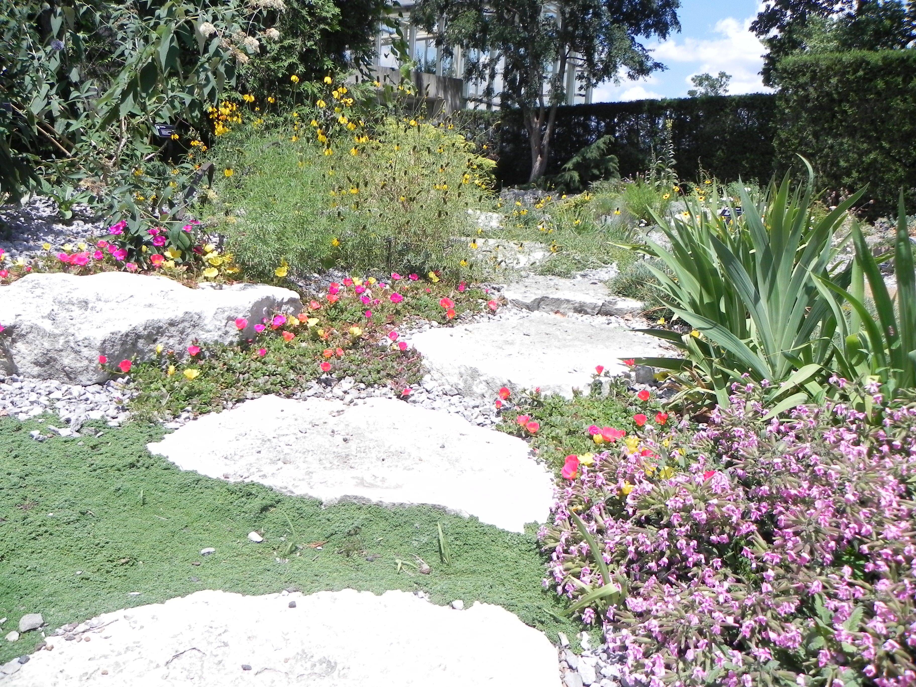 Dry Riverbed Landscaping