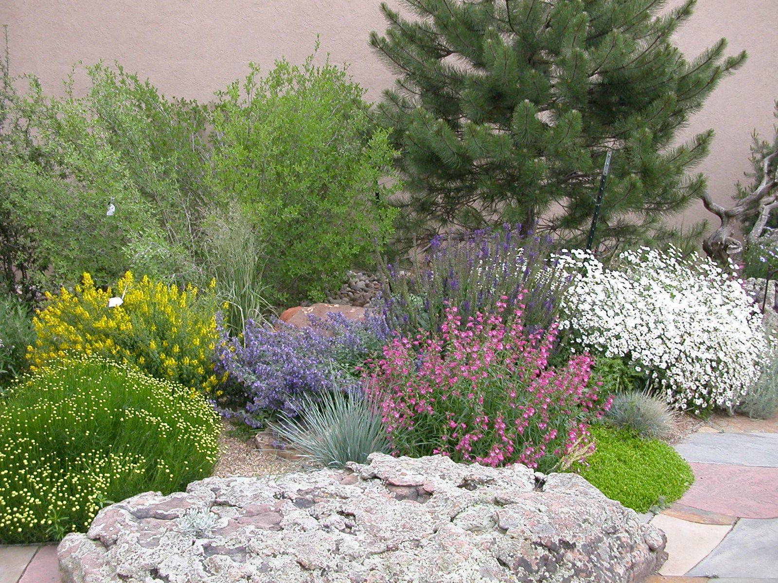 Mediterranean Garden Ideas