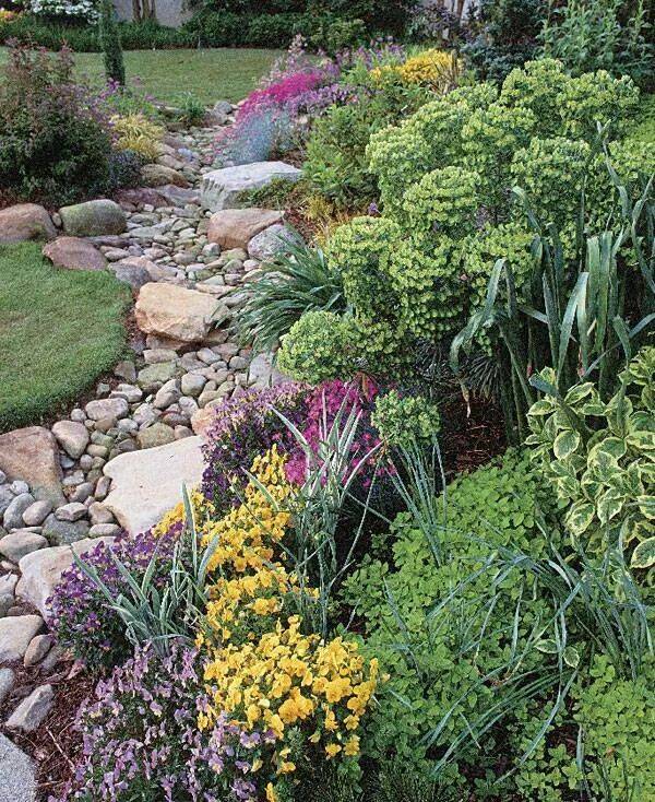 Utah Native Garden Google Search