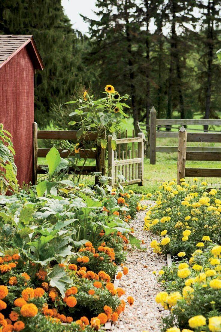 Inspiring Homestead Farm Garden Layout And Design Ideas