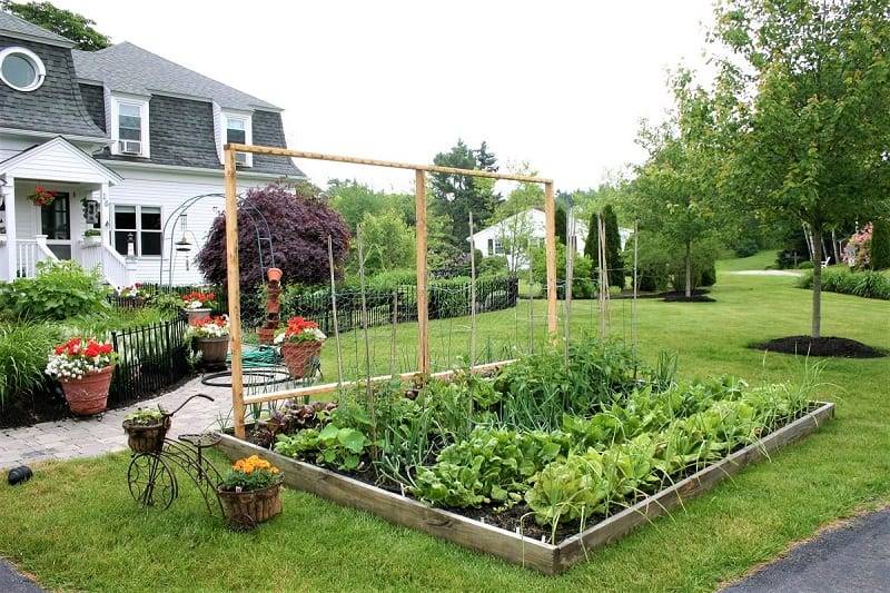 Country Gardening