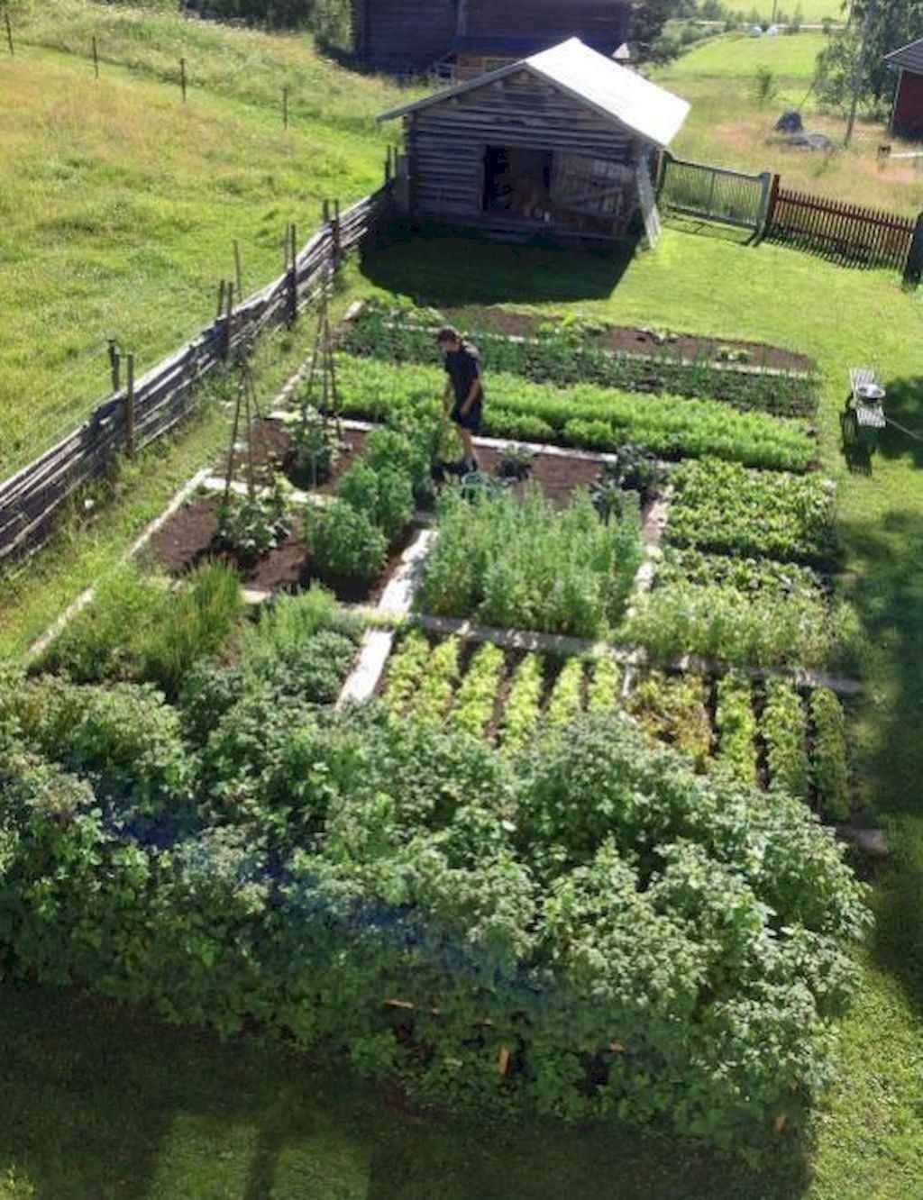 Gardening Country Living