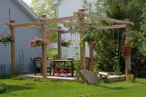 The Best Hops Trellis Ideas