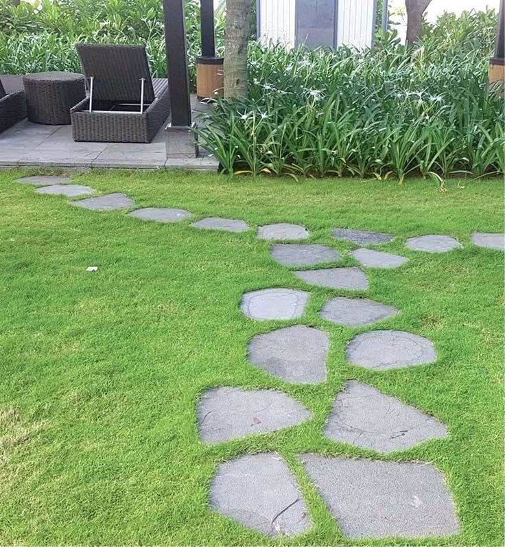 Landscape Ideas