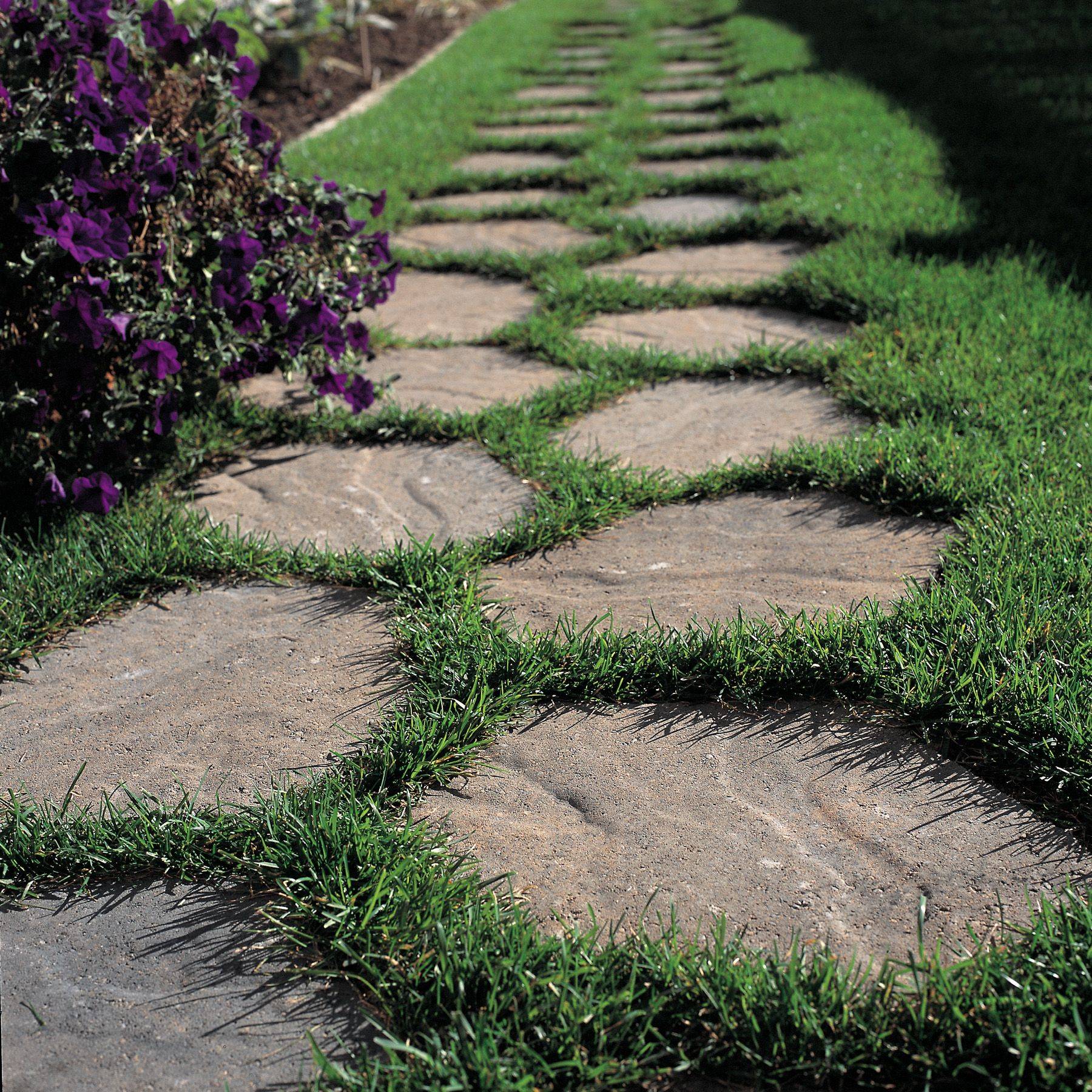 Stepping Stones Photo Gallery