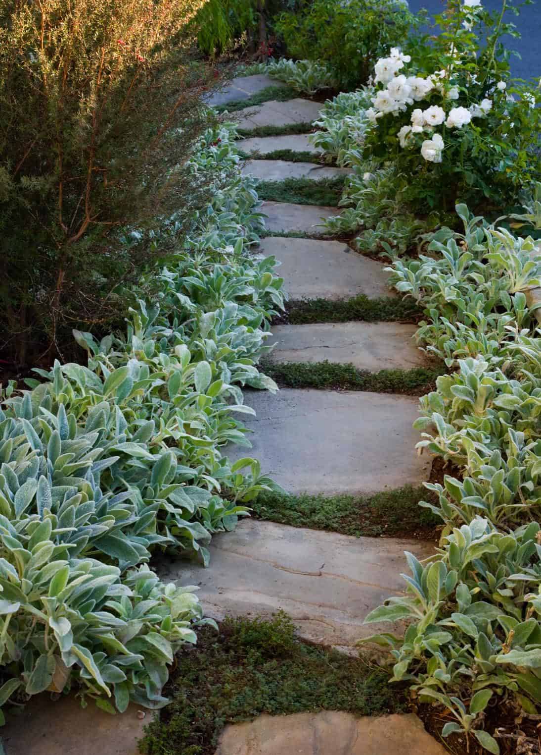 The Ultimate Garden Paths