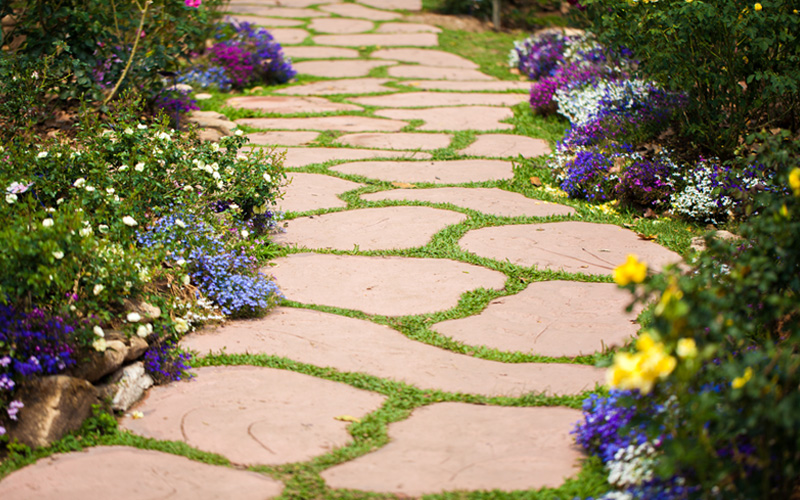 Lovely Stepping Stones Pathway Ideas