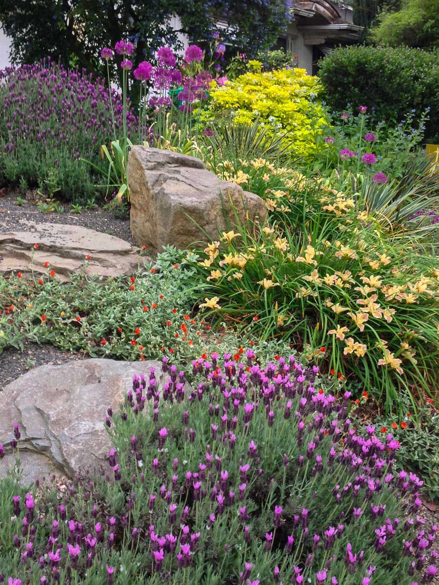 This Tropical Planter