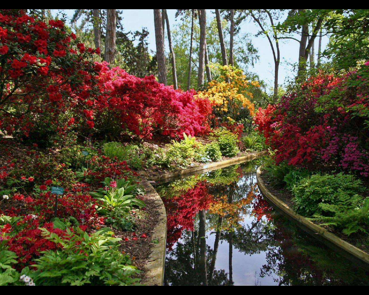 Free Summer Garden Desktop Wallpaper Wallpapersafari