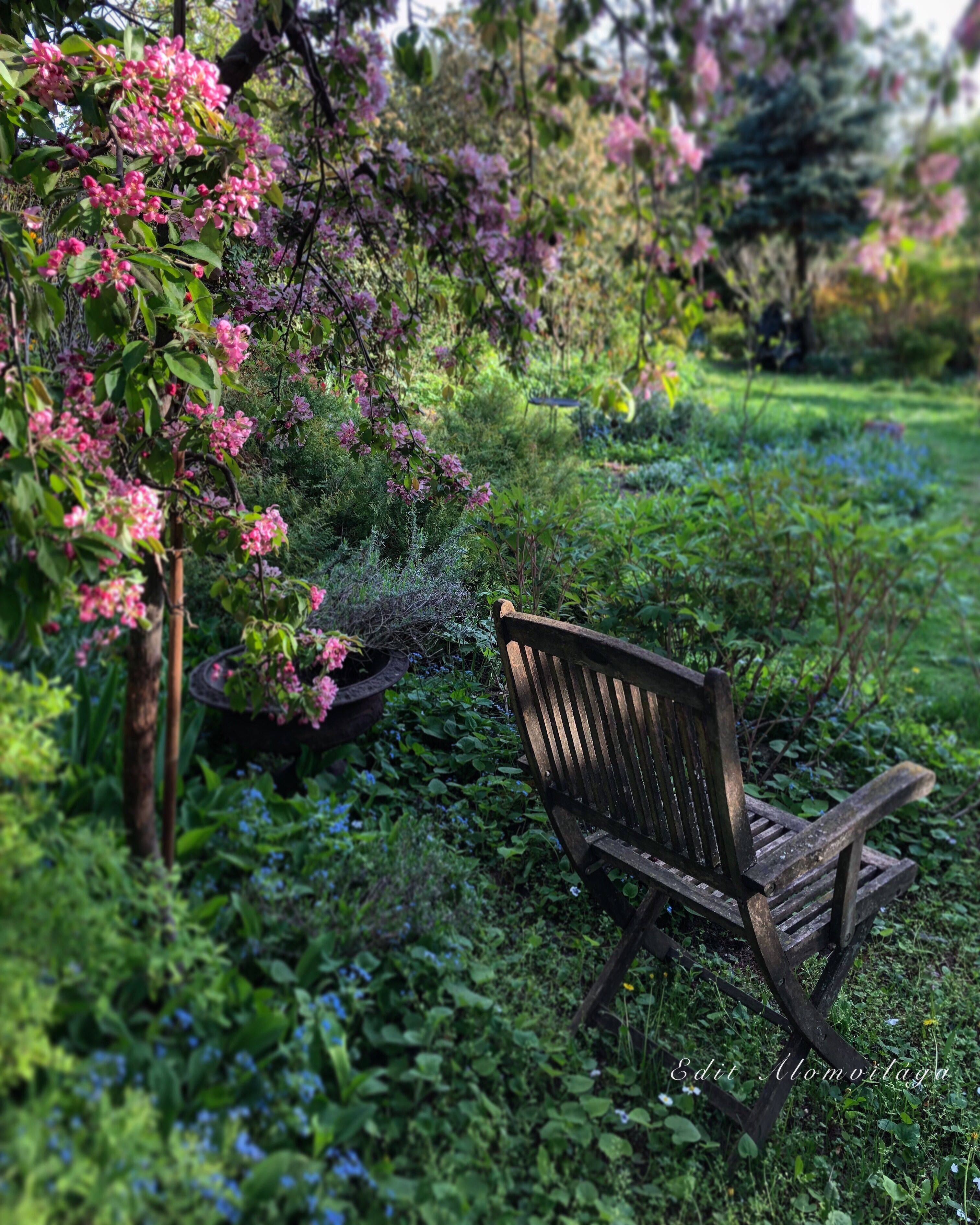 Pinterest Rustic Wood