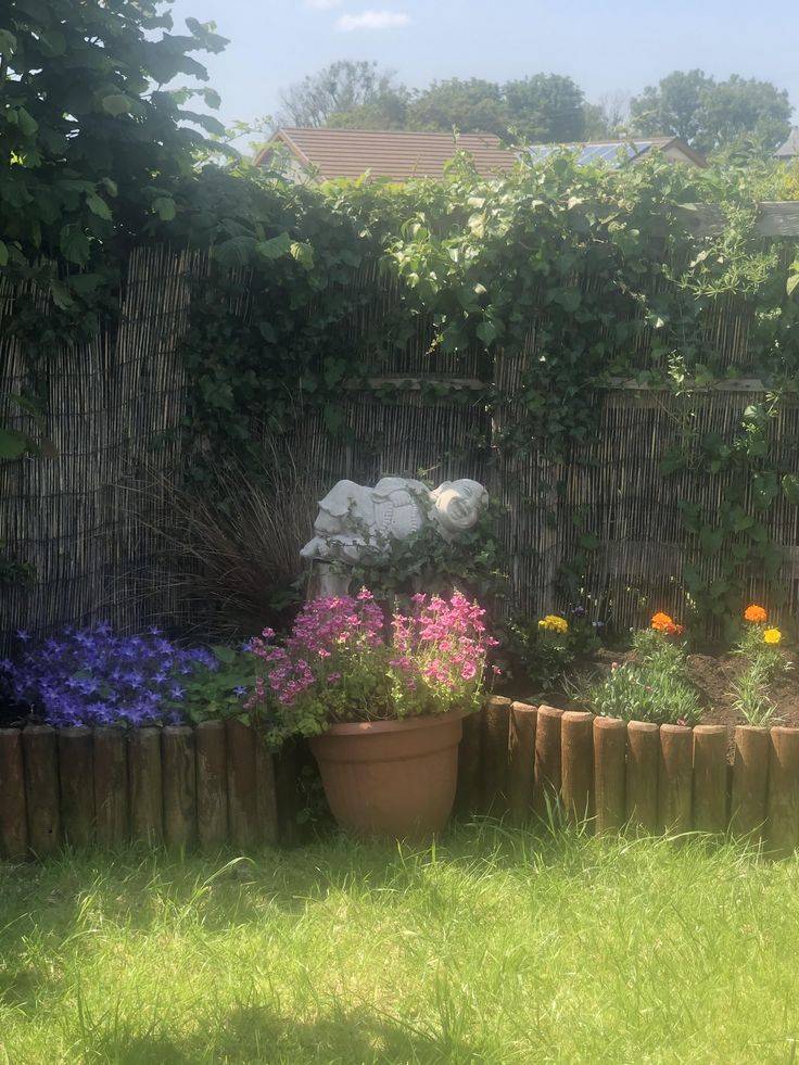 Pin On Flowers Bouquets