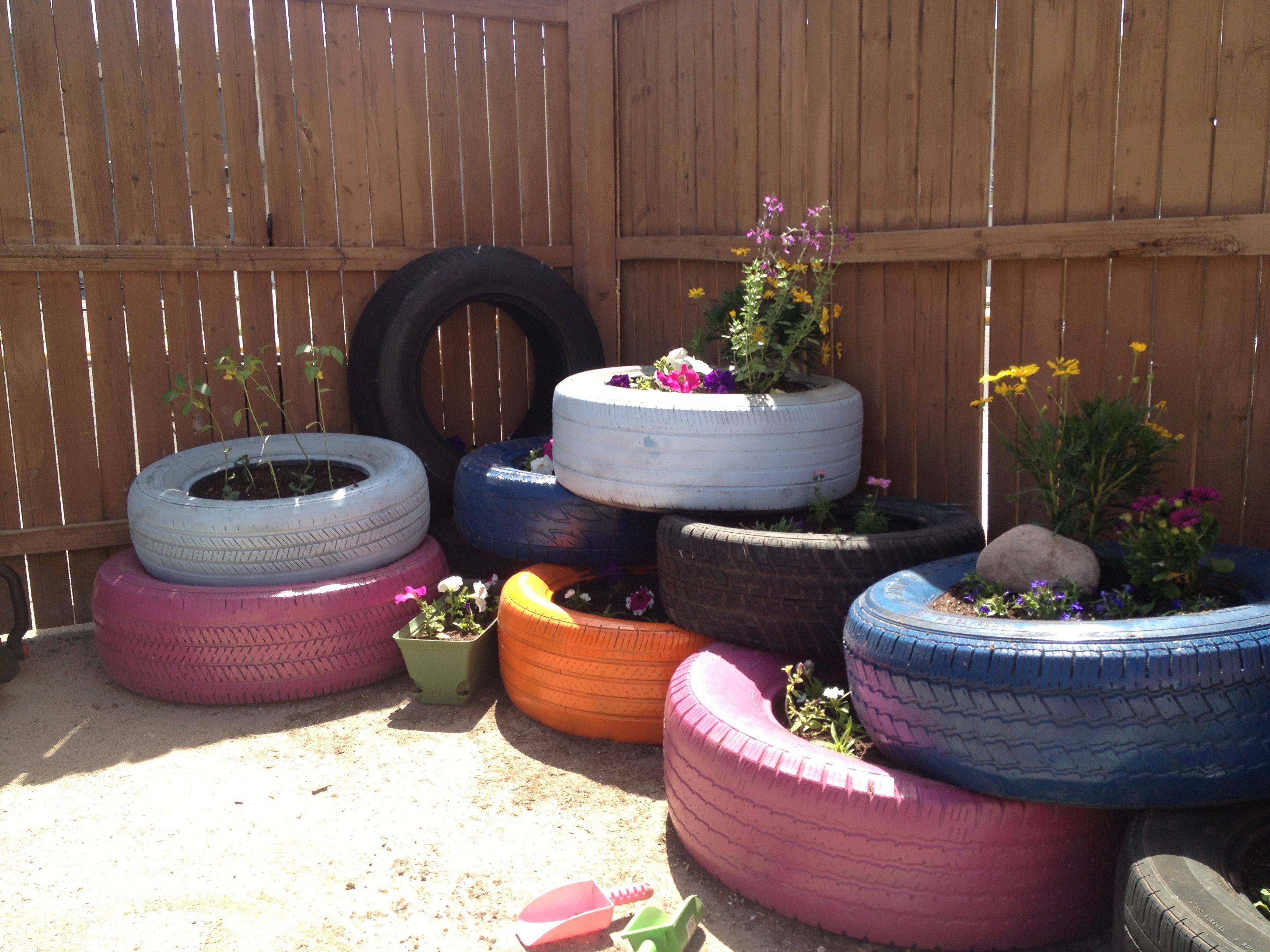 Vegetable Garden