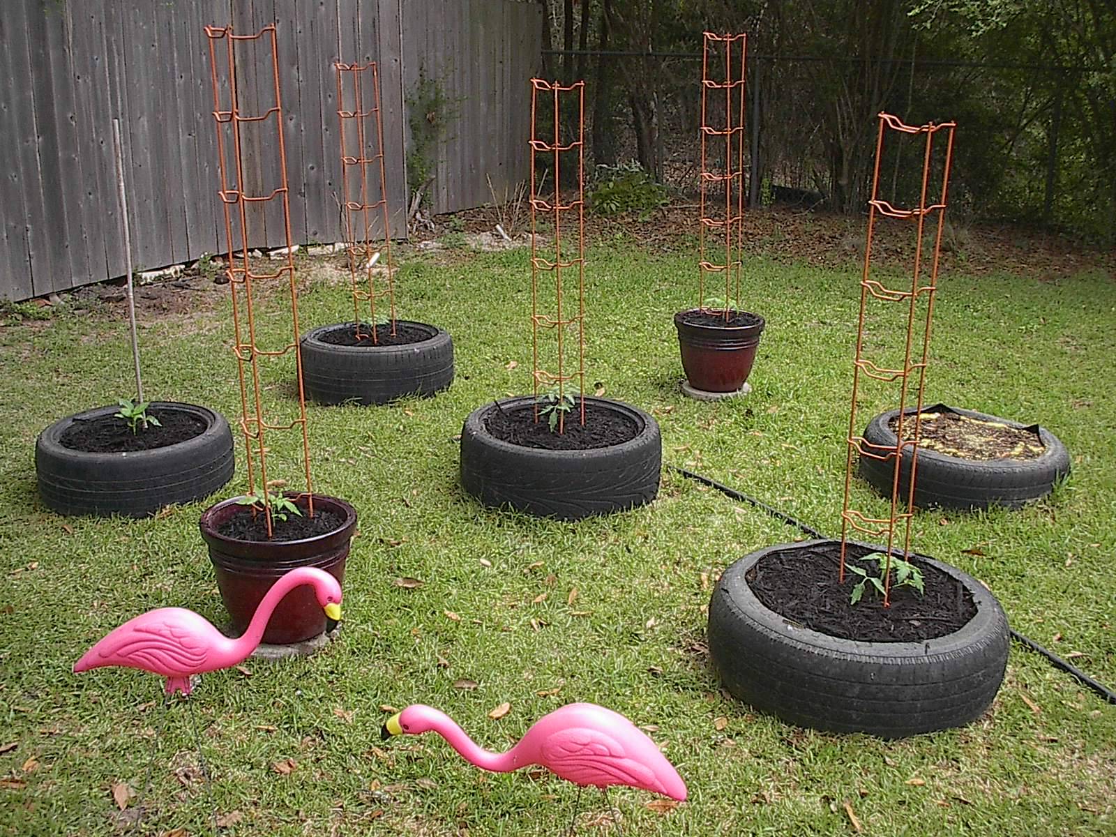 Diy Tire Garden Pictures