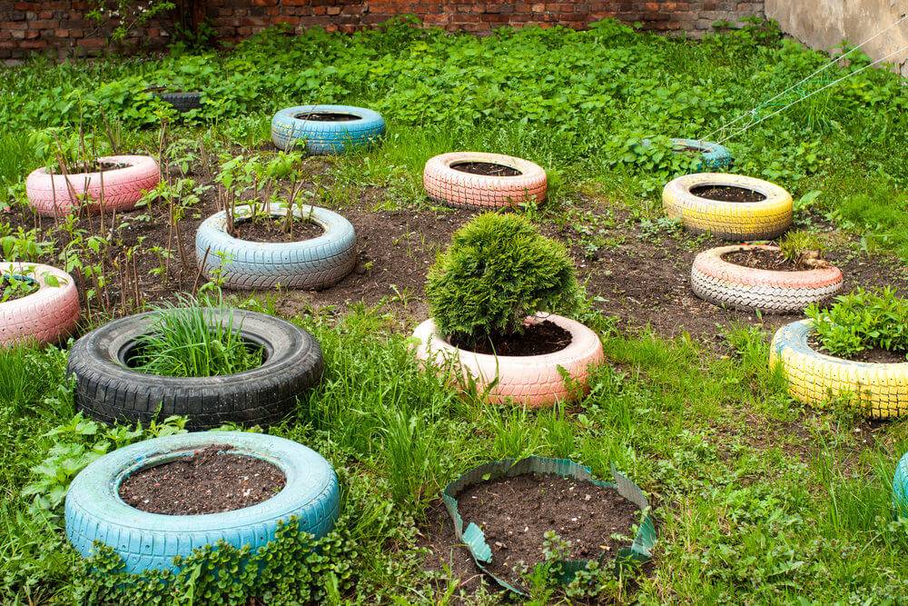 A Vegetable Garden