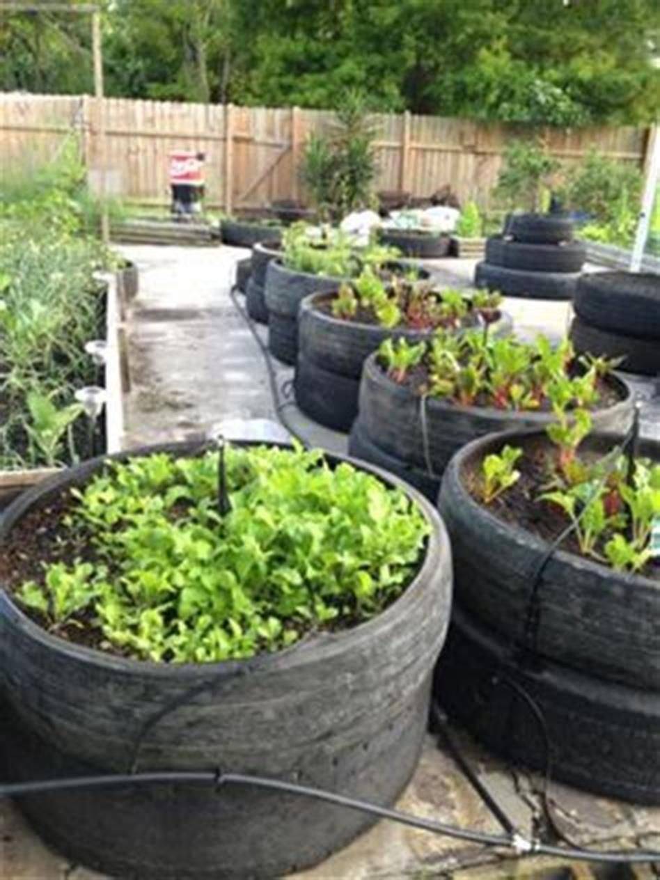 Growing Vegetables