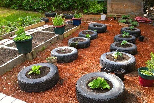 Practical Tyre Gardening Information