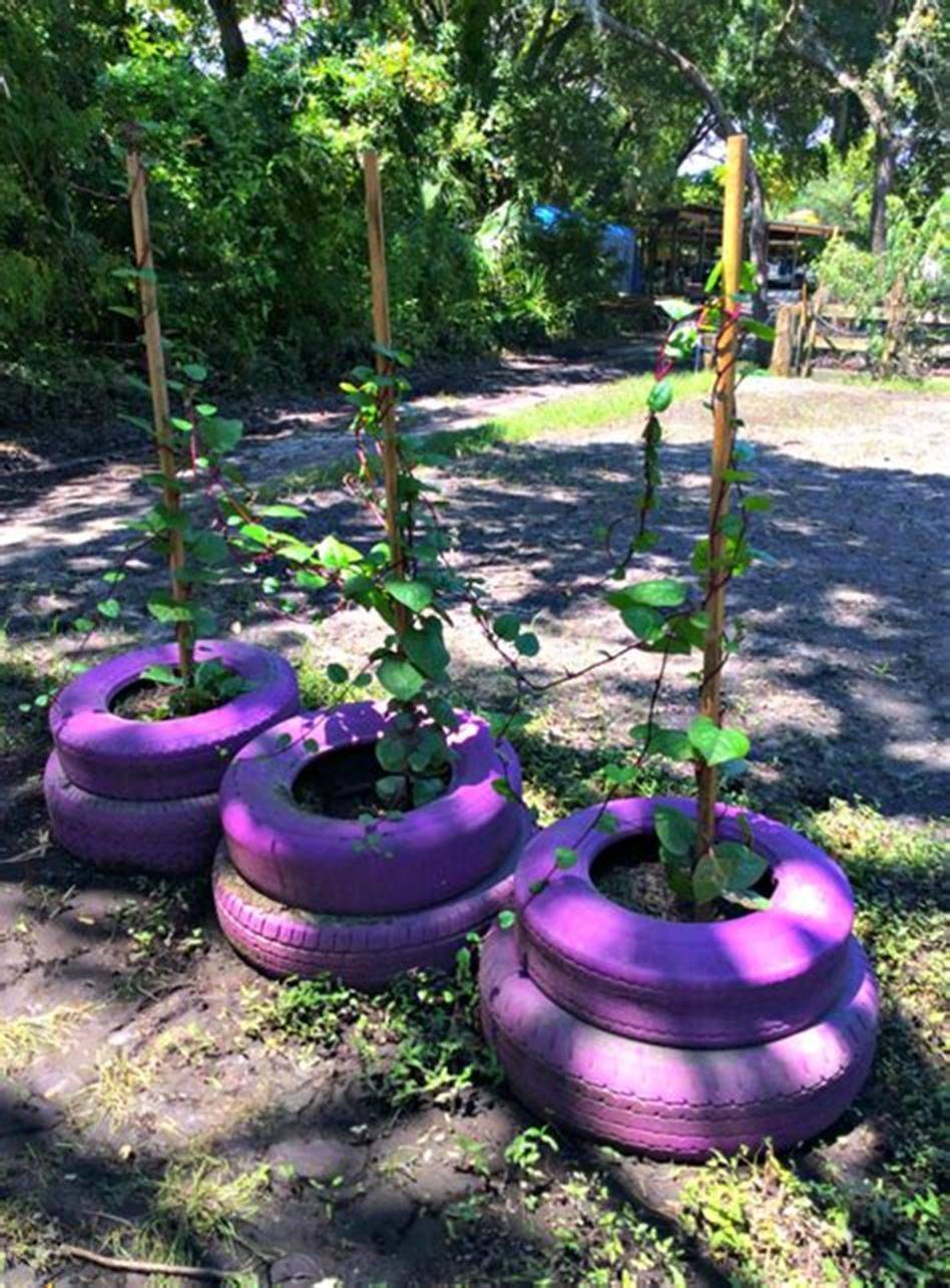Growing Vegetables