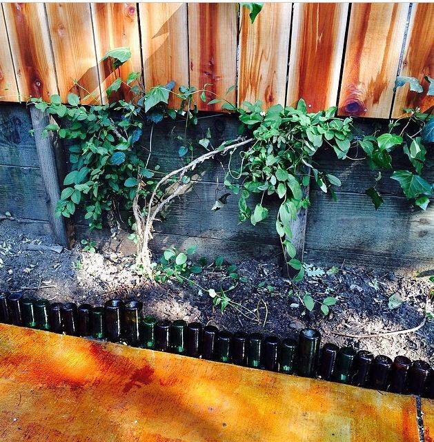 18 Beer Bottle Garden Edging Ideas Worth to Check SharonSable