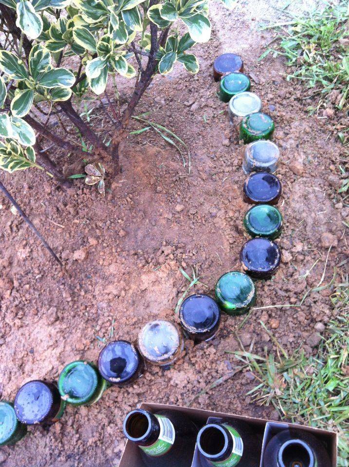 18 Beer Bottle Garden Edging Ideas Worth to Check SharonSable