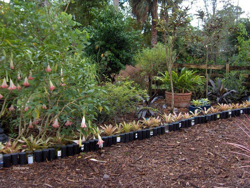 18 Beer Bottle Garden Edging Ideas Worth to Check SharonSable