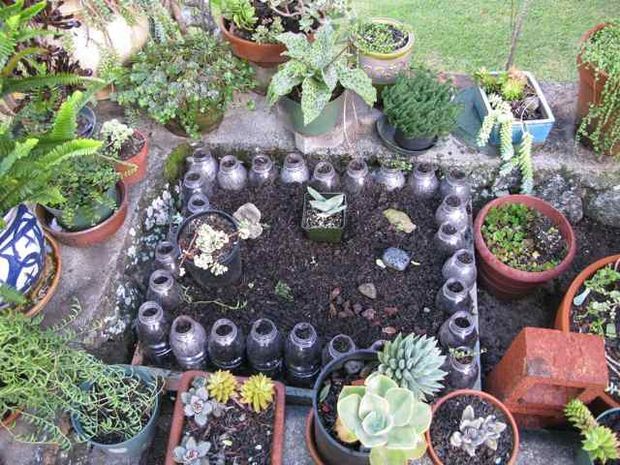 Recycled Wine Bottles