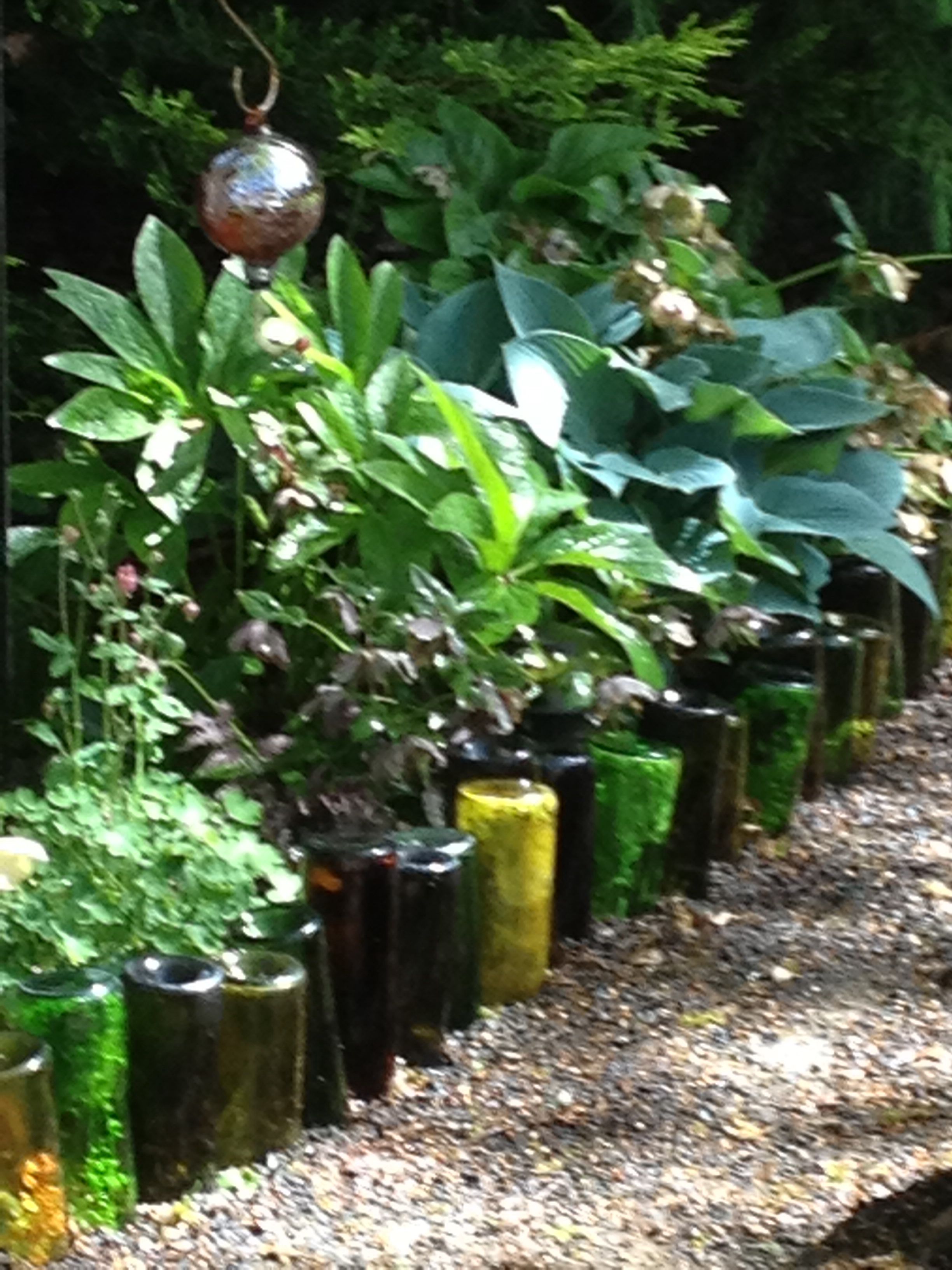 Wine Bottle Garden