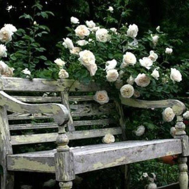 Pinterest Chair Bench