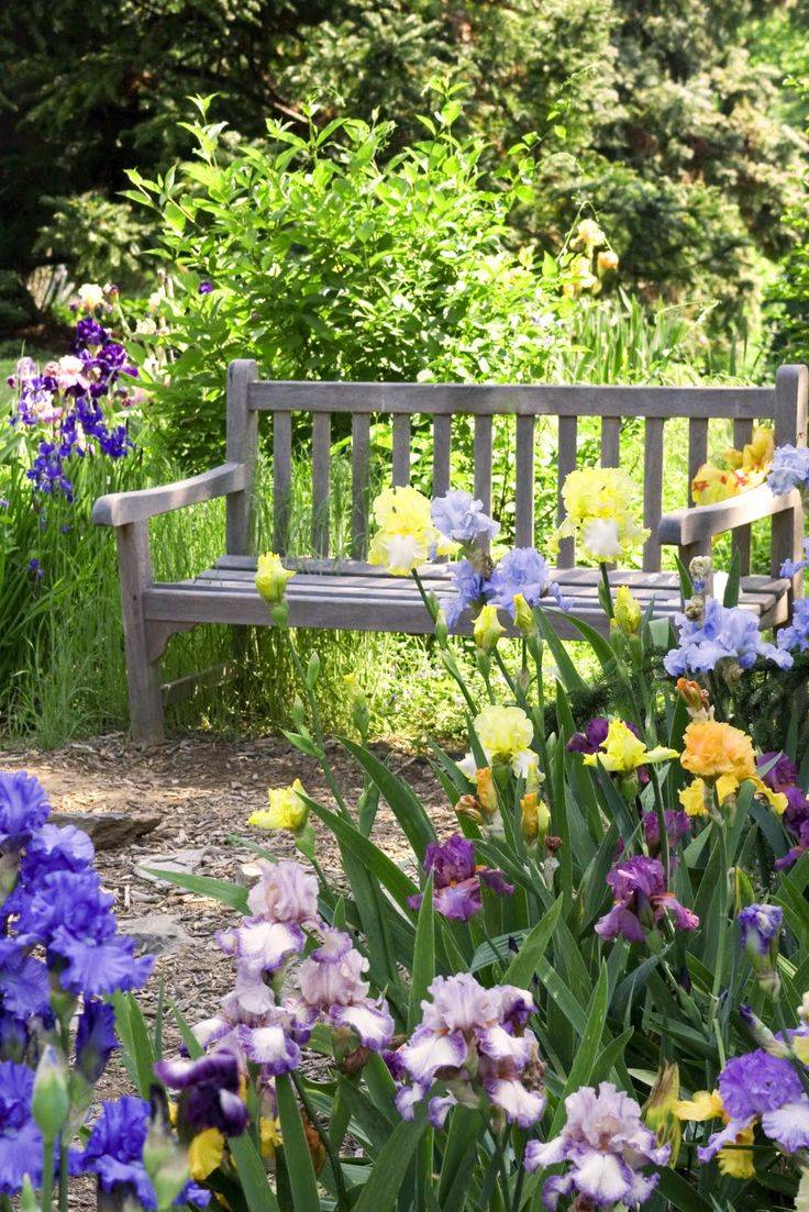 Shabby Chic Garden