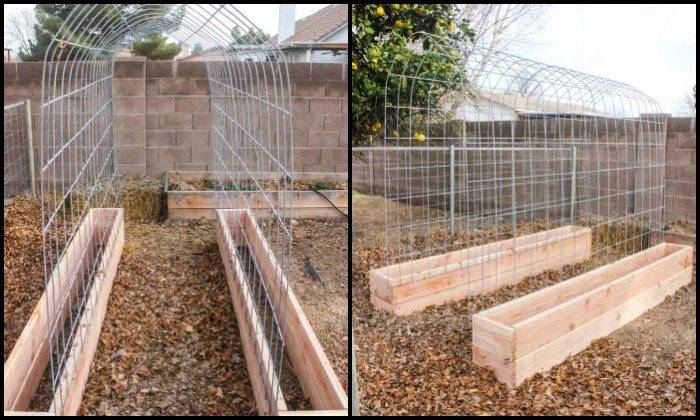 Diy Arbor And Trellis Ideas