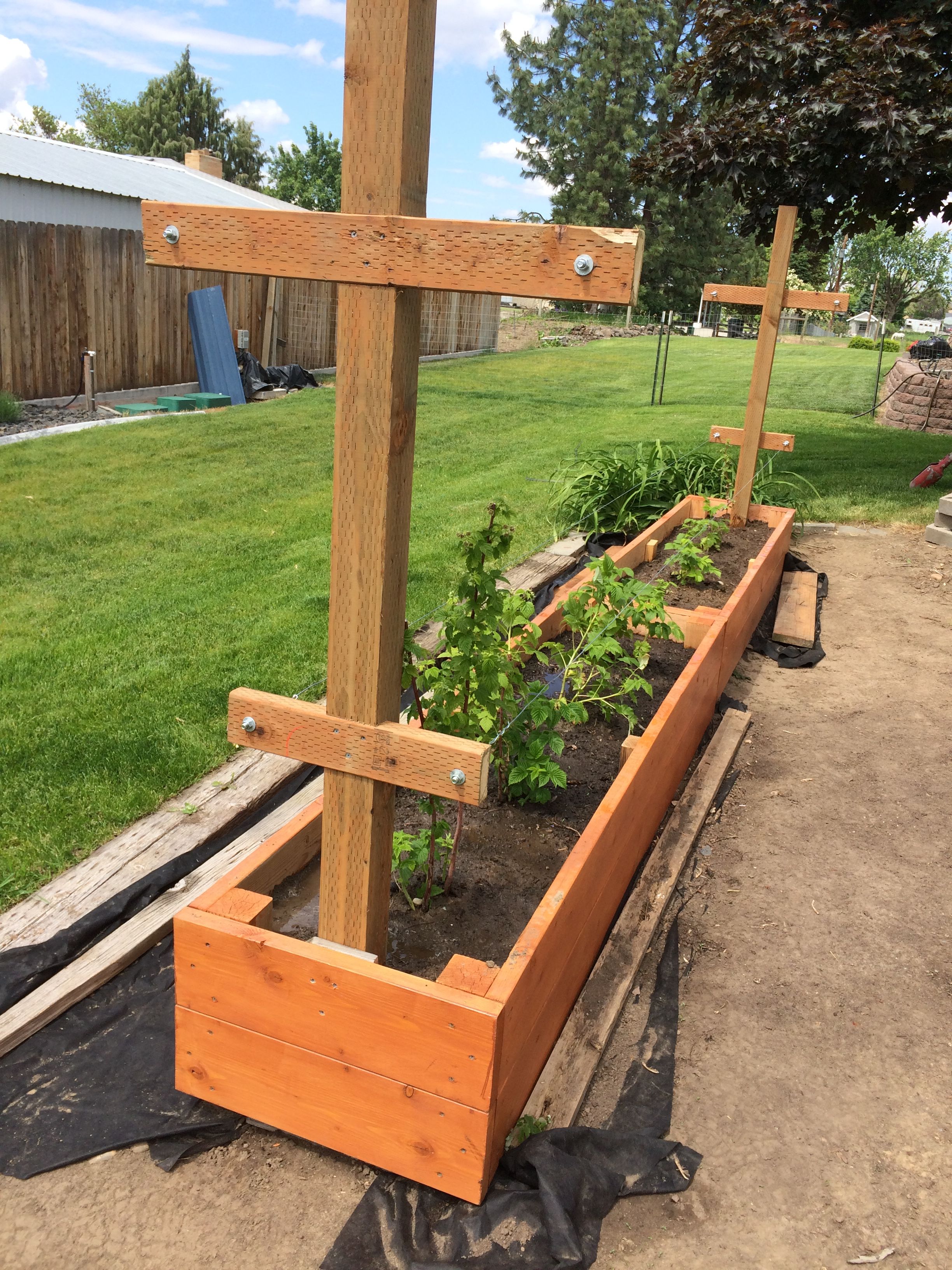 Amazing Beautifull Diy Trellis