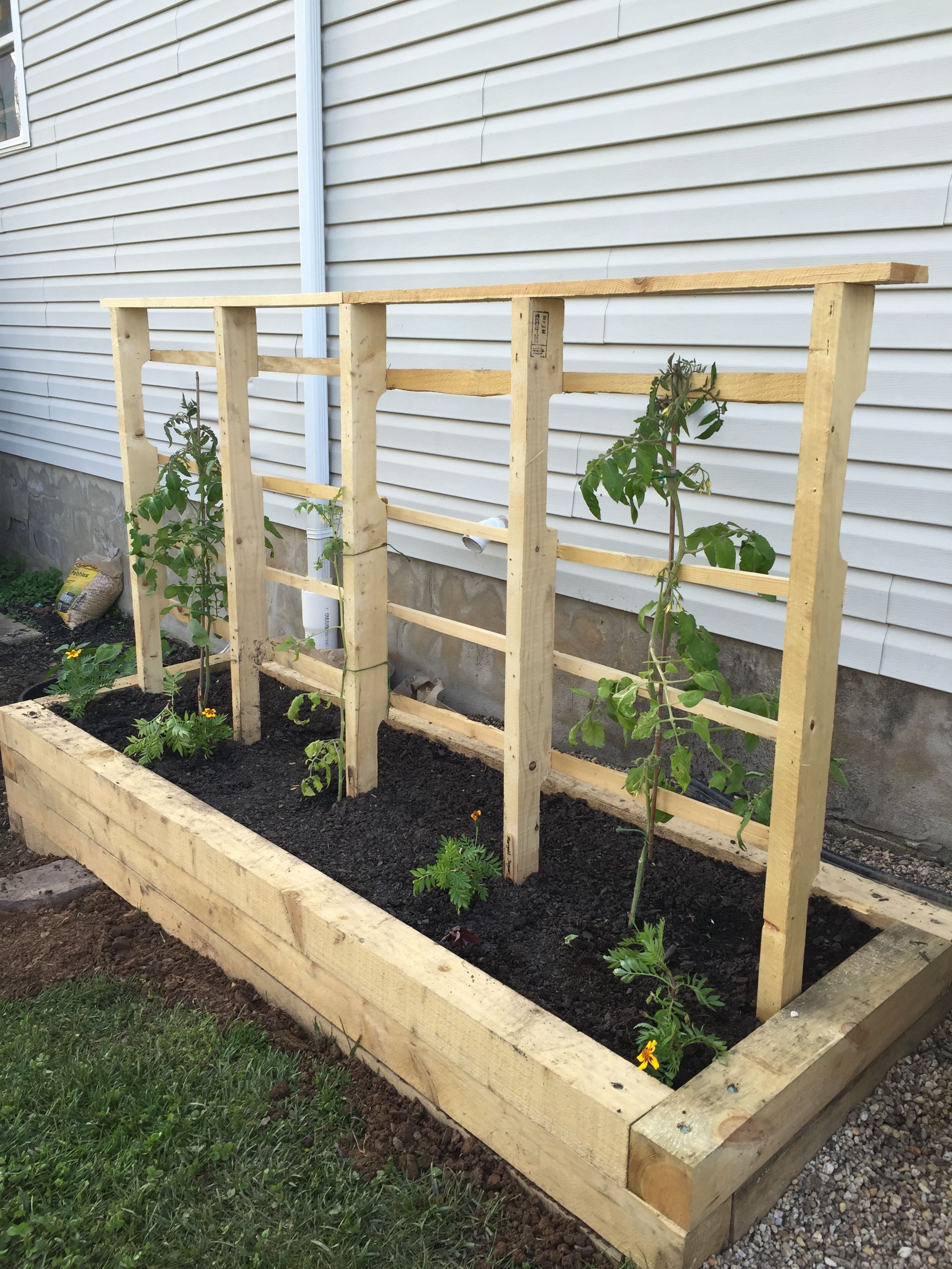 Raised Garden Box Combo