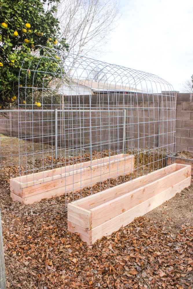 Raised Planter Beds Diy Trellis