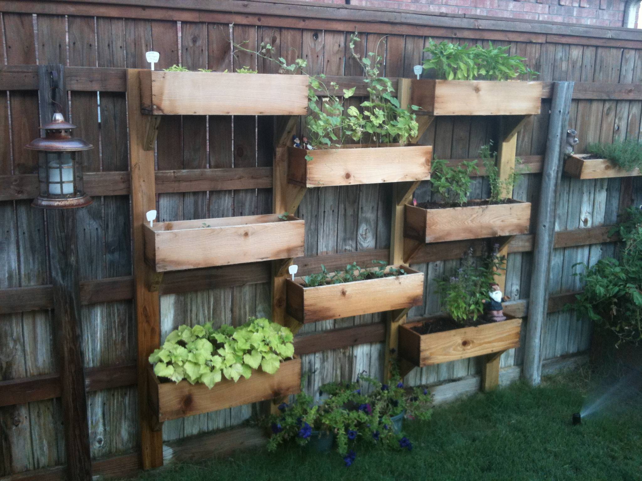 Macrocarpa Planter Boxes