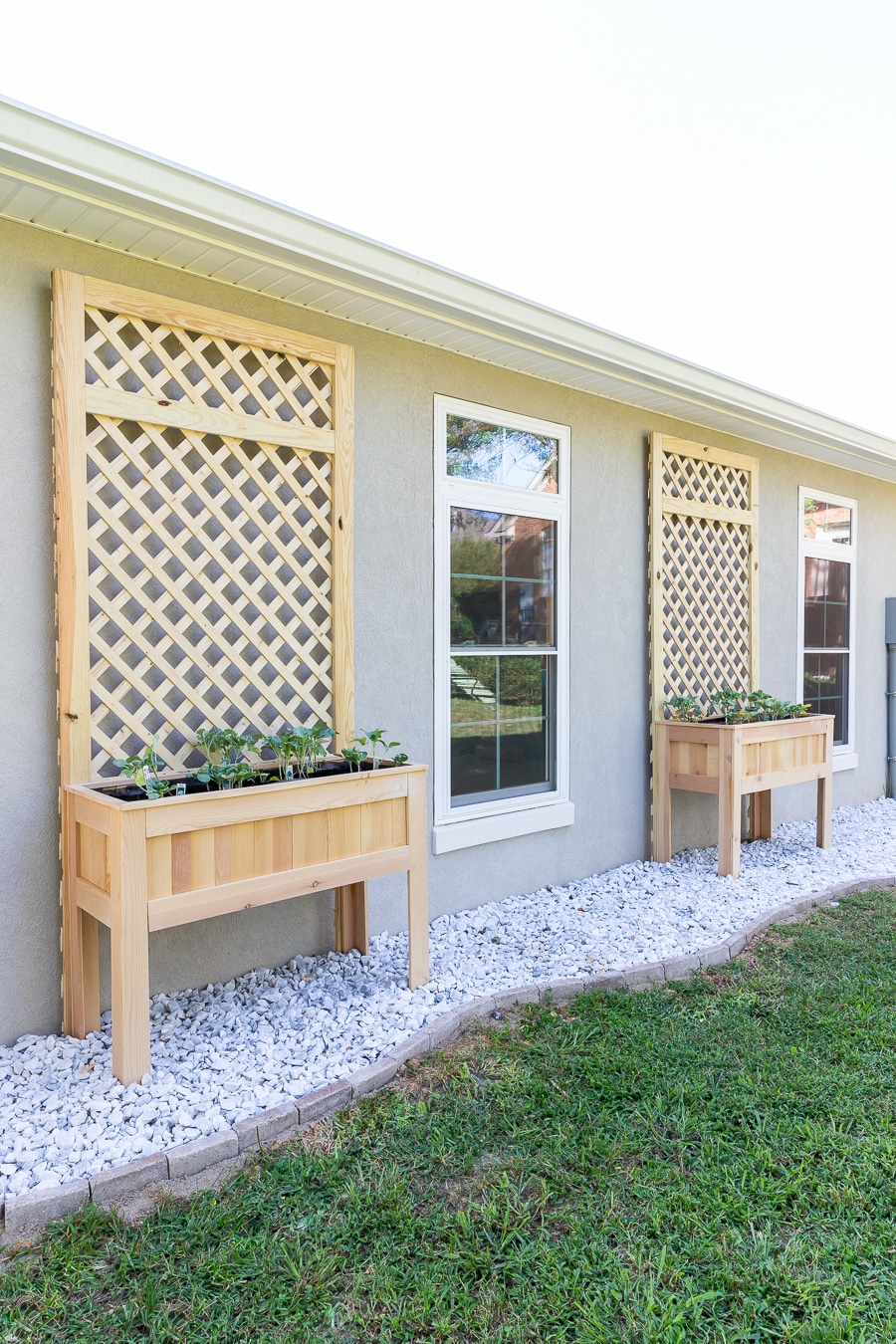 Copper Trellis