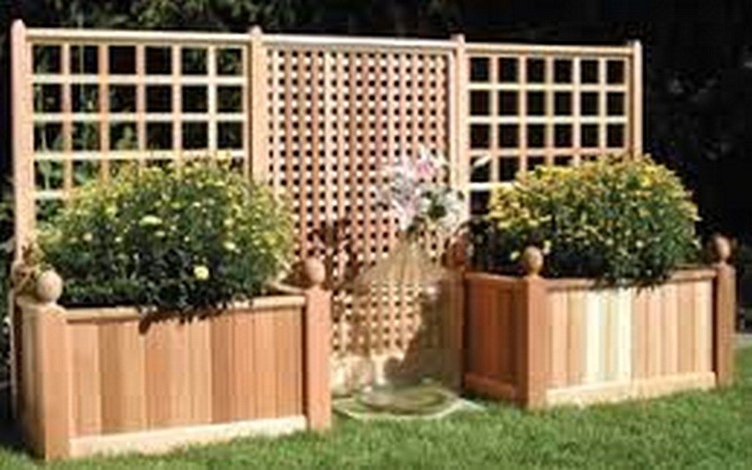 Trellis New Interior Design