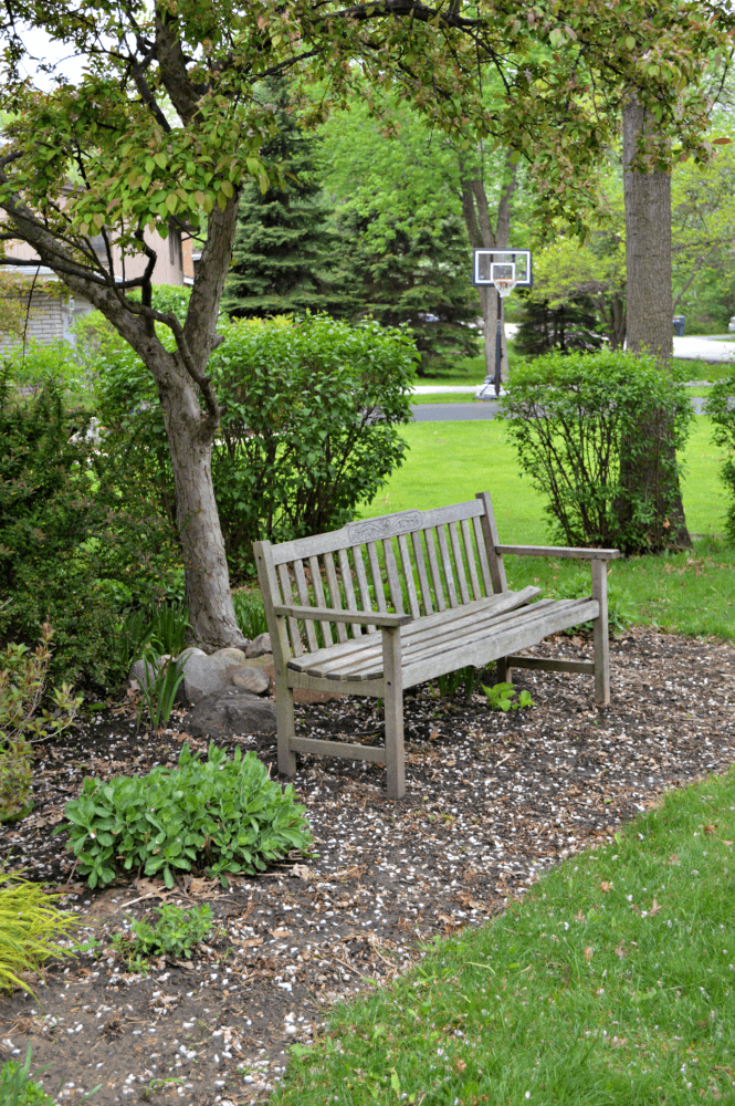 Garden Bench Landscaping Ideas