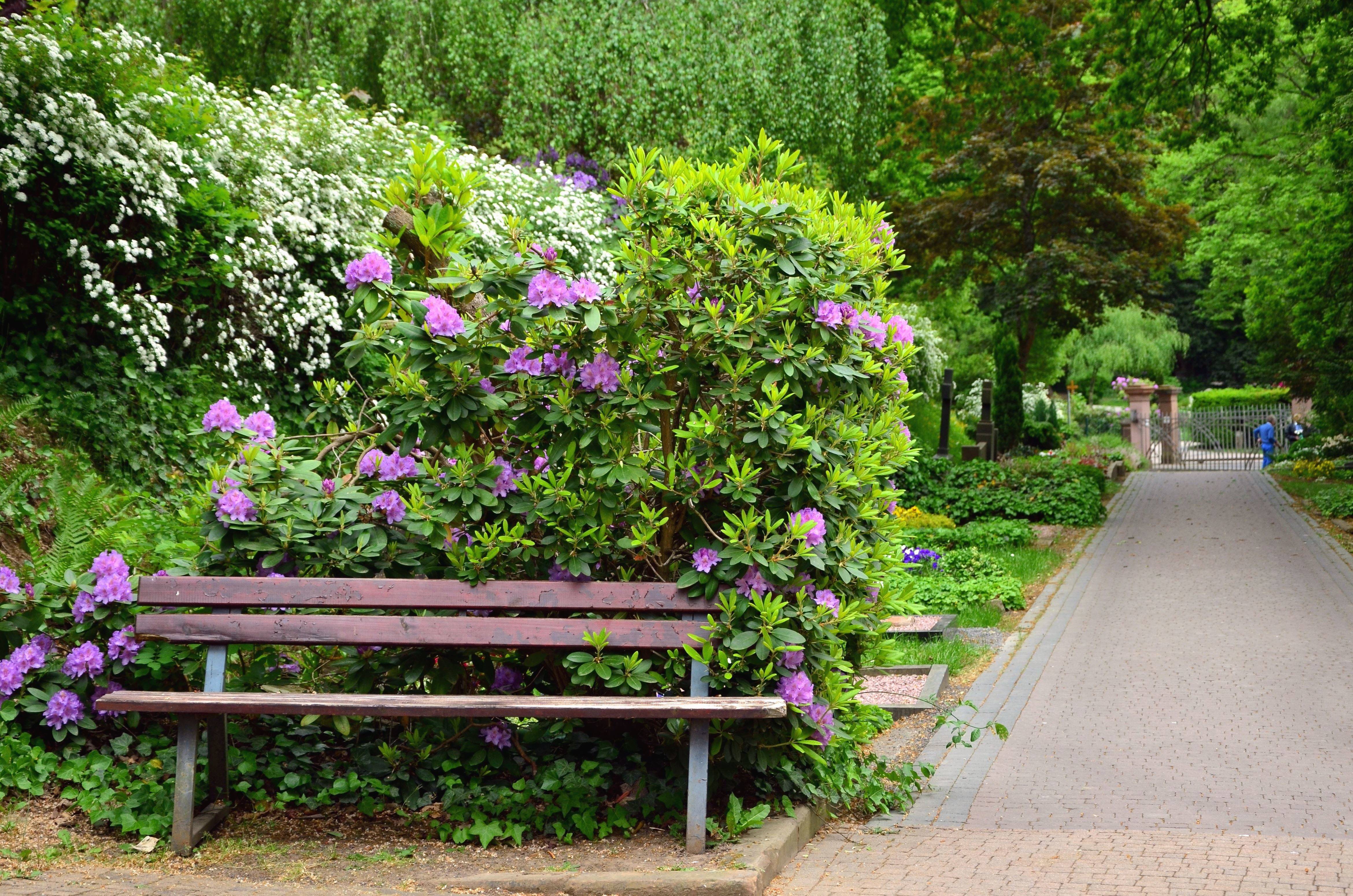 The Garden Amazing Ideas