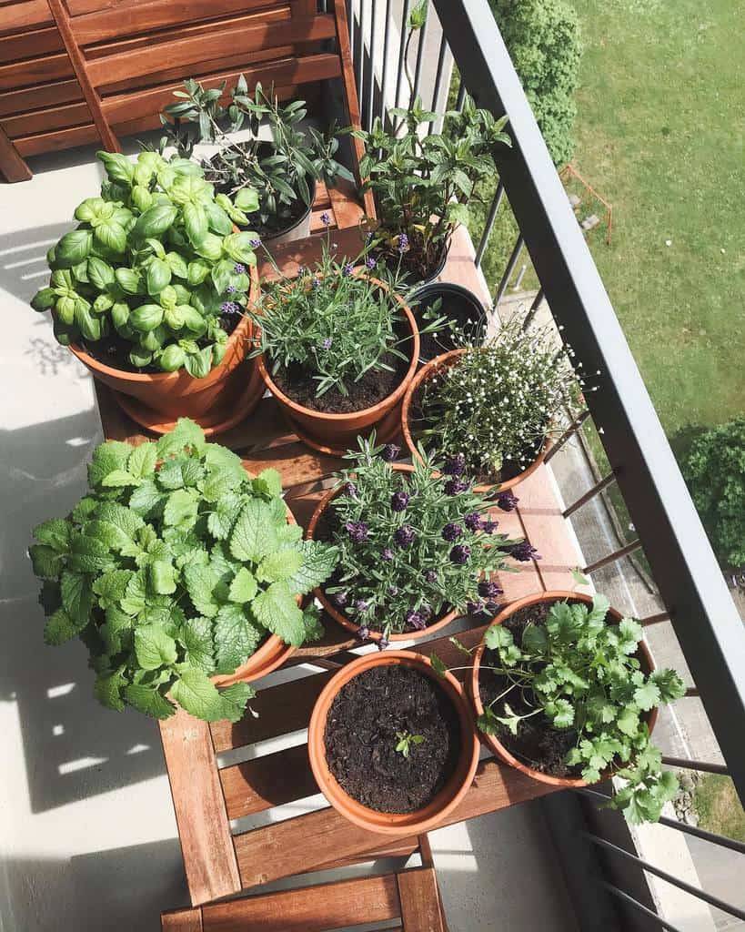Amazing Herb Garden Ideas