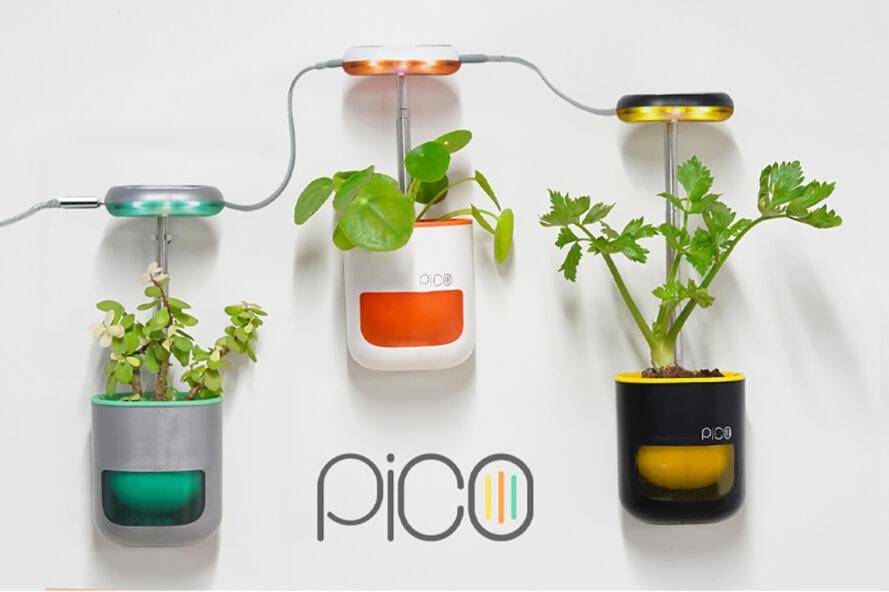 Garden Ideas