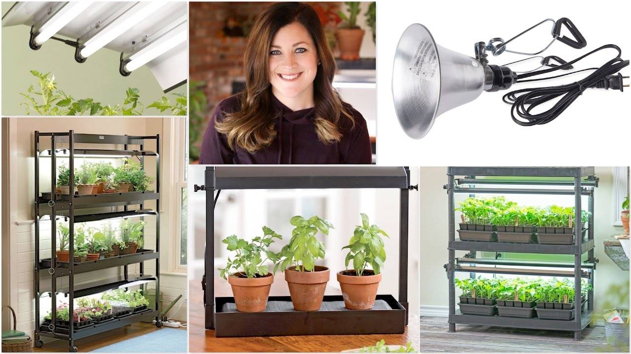 Microgarden Urban Micro Gardening Indoor Krutergarten Gemsegarten