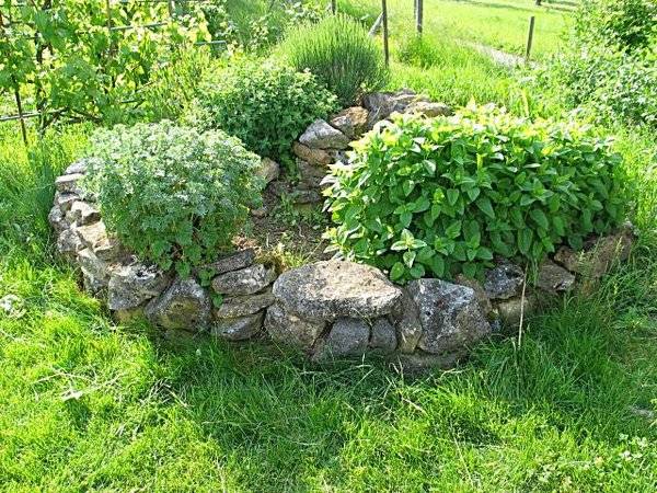 Permaculture Gardening