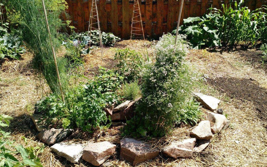 Succulent Ideas Spiral Garden