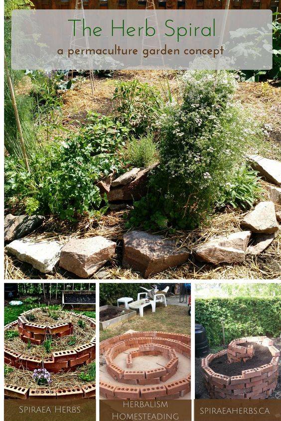 A Permaculture Garden Design