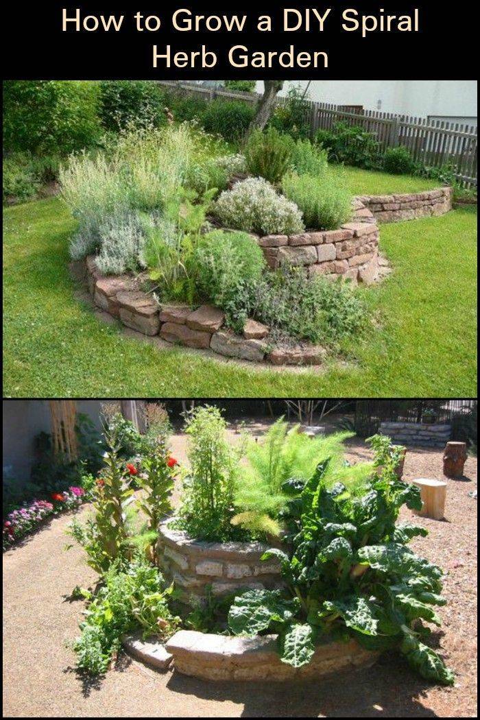 Spiral Garden Ideas