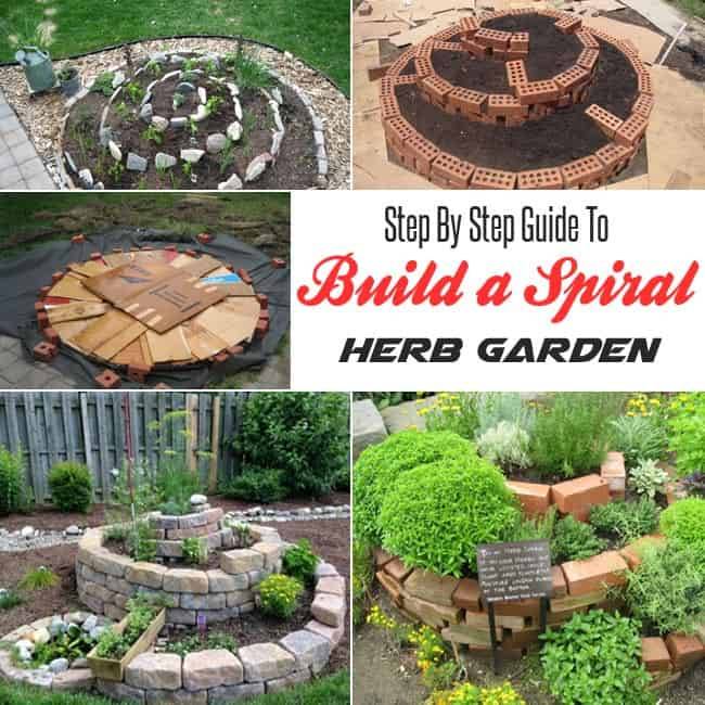 A Herb Spiral Garden Hometalk