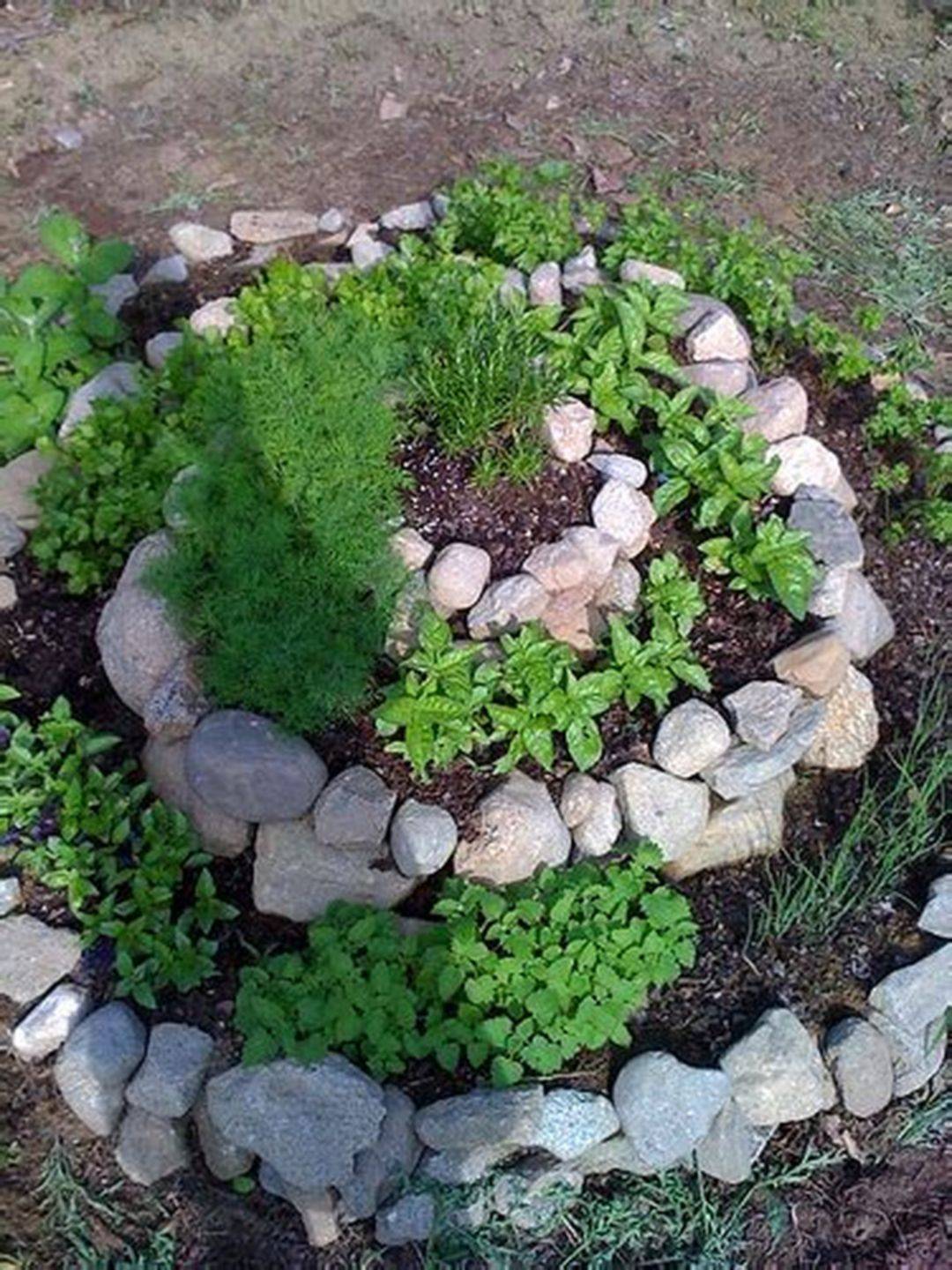 Spiral Herb Garden Ideas