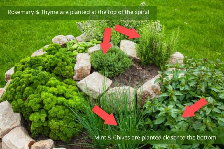 Diy Spiral Herb Garden Garden