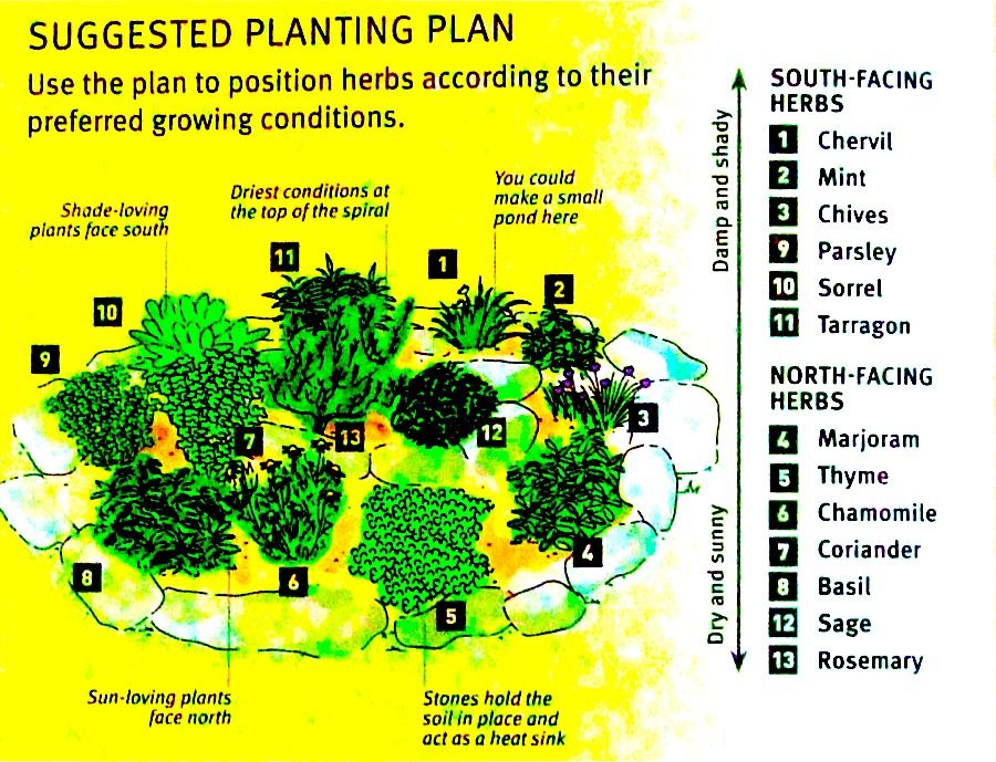 A Spiral Herb Garden Spiral Garden Design